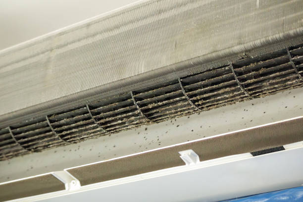 Best Air Duct Cleaning Near Me  in Jackson, MS
